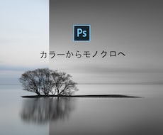 写真をモノクロ写真に仕上げます イメージ1