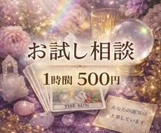 お試し歓迎10名様限定でします イメージ1
