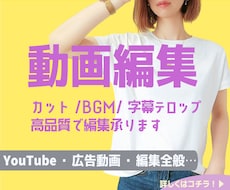 Youtube/字幕テロップ/PR動画編集します イメージ1