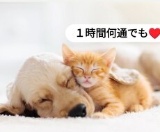 愚痴、恋愛、人間関係何でもお話し聞きます イメージ1
