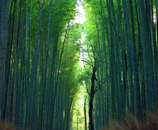 溜め込んだ気持ちや思いを回収します イメージ1