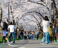 名古屋市内どこでもキレイな写真を撮って送ります イメージ1