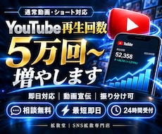 YouTubeの再生回数を5万回以上増やします イメージ1