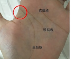手相占いさせて頂きます 占い好きな方・何か悩みを持っている方など。どんな悩みにも！