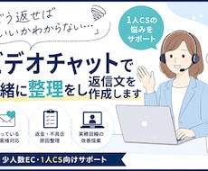 お客様対応の返信文を一緒に整理・作成します ビデオチャットで状況確認｜怒っているお客様対応もサポート