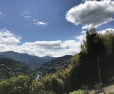 四柱推命で鑑定します 貴方の来年、再来年…10年先までの運勢を知りたくないですか。
