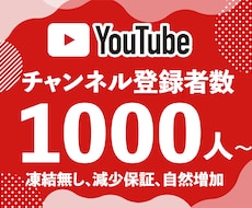 YouTube チャンネル登録者1000人増やます 【業界最安値に挑戦中/減少保証あり】