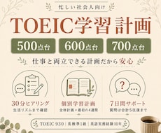 TOEIC800点を目指す個別学習計画を作ります イメージ1