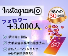インスタ★フォロワー+3000人増加します 【最高品質】保証あり｜最短即日納品｜最大100万人