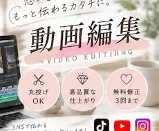 丸投げOK！SNS用ショート動画を丁寧に編集します TikTok・Instagram・YouTube対応