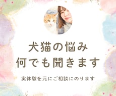 犬猫の悩みごと、何でも相談にのります 保護犬猫ボランティア歴6年。気軽にご相談ください！