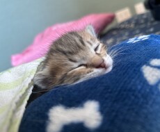 誰にも言えない悩み聞きます イメージ1