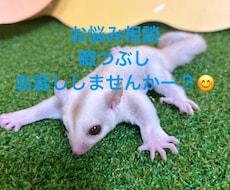 愚痴！暇つぶし！相談！なんでも聞かせて頂きます イメージ1