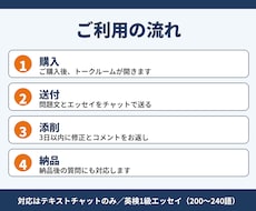 英検1級エッセイ添削｜内容・構成を整えます イメージ1