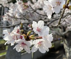 子育ての悩み、現役助産師が相談にのります イメージ1