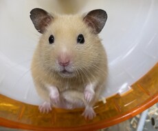 どんなことでもただ聞いてほしいを叶えます イメージ1