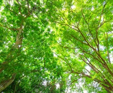 心から来るつらい気分・身体の不調、ご相談に乗ります