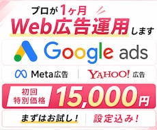 初回限定価格◆プロが1ヶ月Web広告運用します イメージ1