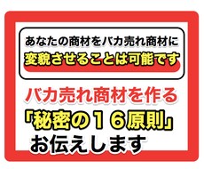 バカ売れ情報商材の「秘密の１６原則」暴露します 現役プロモーターがあなたの情報商材を生まれ変わらせます