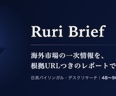 英語の一次情報から海外市場・競合を調査します 海外の市場・競合・相場を根拠URL付きで48〜96時間納品