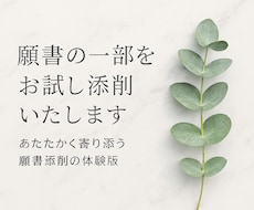 願書の一部をお試し添削します イメージ1