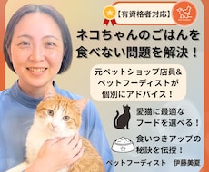 テキスト相談|愛猫のごはん食べない問題を解決します 元ペットショップ店員×ペットフーディストが個別アドバイス！