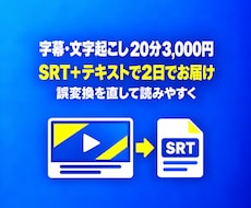 字幕・文字起こしを20分3,000円で作成します イメージ1