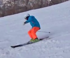 動画を見てスキーレッスンいたします イメージ1