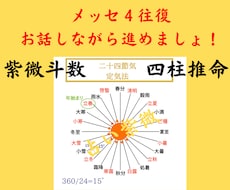 四柱推命ｘ紫微斗数　現実的に寄り添う精密鑑定します メッセ４往復お話しながら進めましょう☆吉凶判断なし☆
