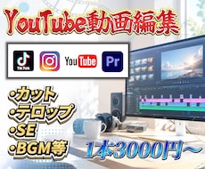 YouTube動画編集を1本3,000円で承ります イメージ1