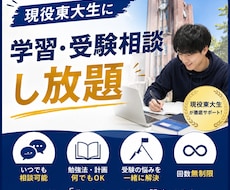 東大生が学生や受験生の学習相談に乗ります イメージ1