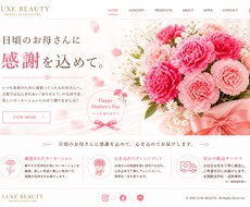 母の日カーネーションで感謝を表します イメージ1