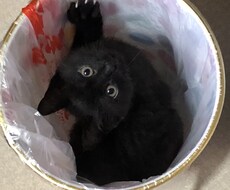 吐き出したい相談事何でも聞き一緒に考えます イメージ1