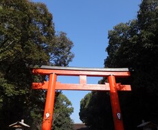 あなたのお好きな神社を鑑定致します この神社があなたにとってどんな導きがあるのかをお教えします！