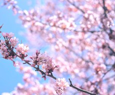 気軽にお話しませんか？なんでも聞きます