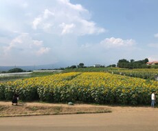 インターネット副業が心配の方、騙される前にます イメージ1