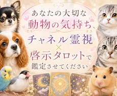 貴方の大切な動物の気持ち占います イメージ1