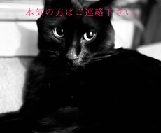 自分改革のお手伝いをします イメージ1