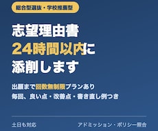 総合型選抜の志望理由書を24h以内に添削します イメージ1