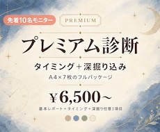 タイミング＋深掘り込みプレミアム診断お届けします イメージ1