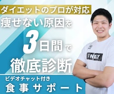 ビデオチャットにて”痩せない理由” を教えます イメージ1