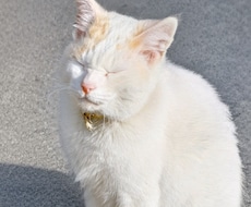 お話聞きます イメージ1