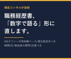 現役コンサルが職務経歴書を添削します イメージ1