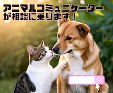 アニマルコミュニケーターが相談乗ります イメージ1