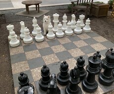 なんでも相談のったり聞いたりします イメージ1
