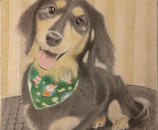 大切なペットを色鉛筆等で描かせて頂きます イメージ1