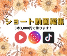 破格！インスタ用のリール動画を作成します イメージ1