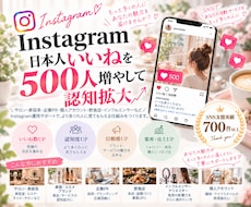インスタ日本人いいね500件増やします イメージ1
