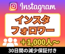 Instagramフォロワー1,000人増やします ★迅速丁寧な対応を心掛けております★インスタ★海外フォロワー