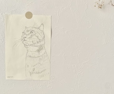 あなたのペットのイラスト描きます イメージ1